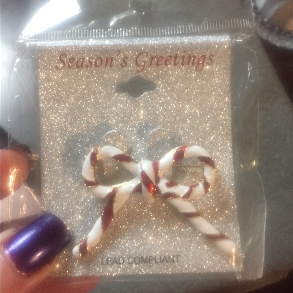 Seasonal ladies lapel pin/ broach